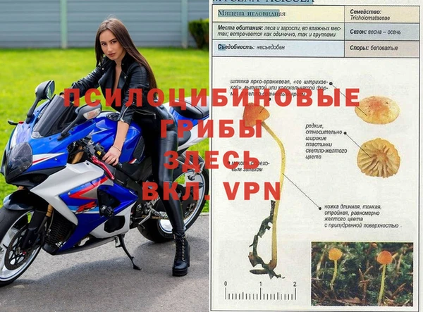альфа пвп Михайловка