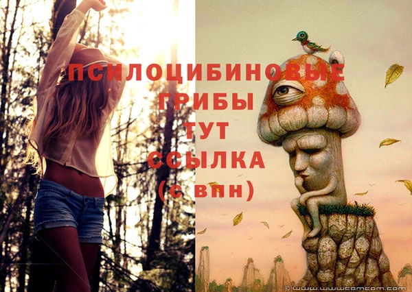 дурь Михайлов