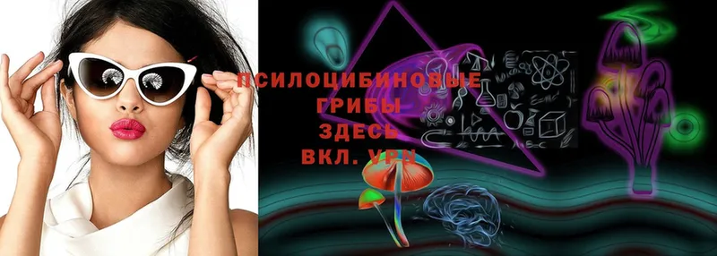 Галлюциногенные грибы Psilocybine cubensis  Остров 